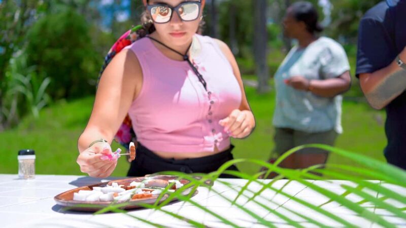 Croydon in the Mountains - Eco Farm Tour with Lunch - Good To Know