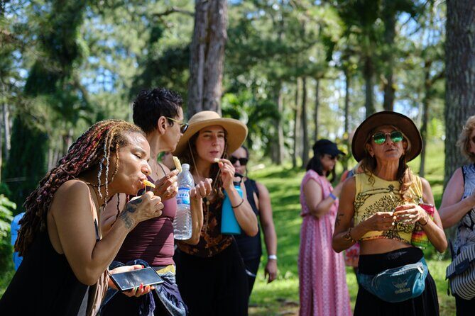 Croydon In The Mountains - Exotic Fruits & Flowers - FAQs