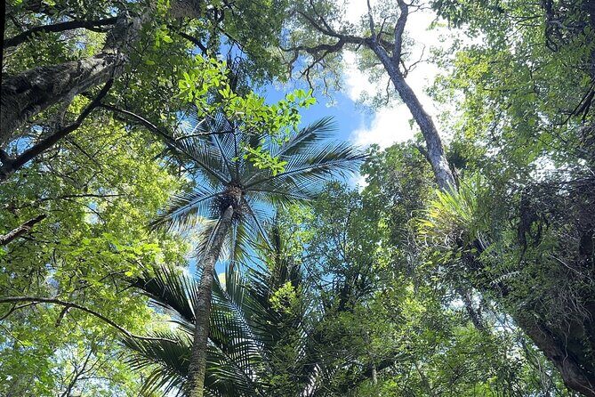 Cruise Abel Tasman to Golden Bay - Getting to Know the Tour