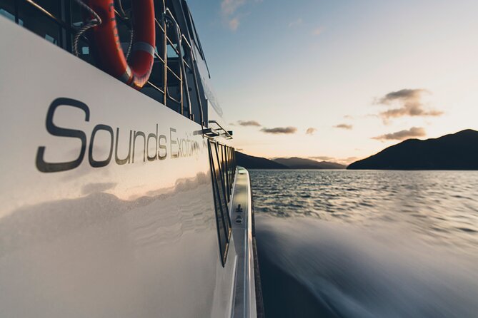 Cruise and Lunch at Furneaux Lodge - Booking and Contact Information