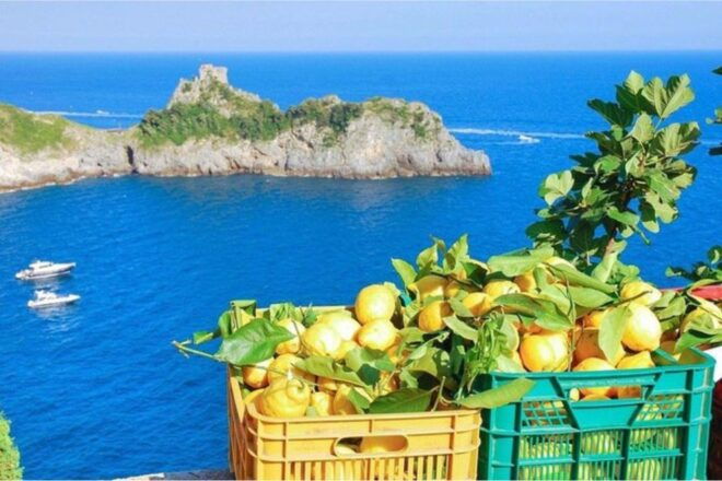 Cruise by Ship: Maiori and the Lemon Trail - Includes