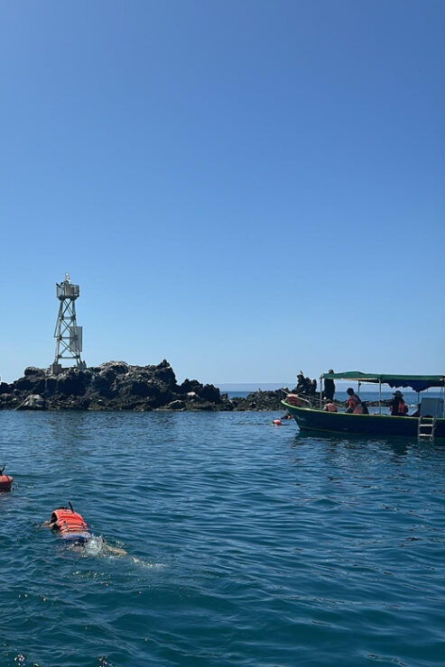 Cruise Date Delight! La Paz: Swim With Sea Lions! - Itinerary Highlights