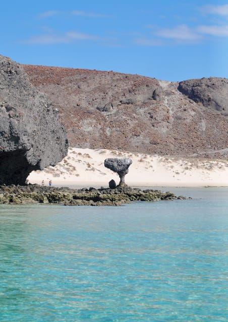 Cruise Date Delight! La Paz: Swim With Sea Lions! - Inclusions