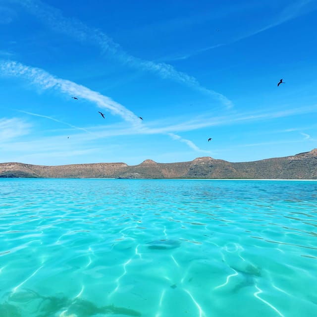 Cruise Date Delight! La Paz: Swim With Sea Lions! - What to Bring