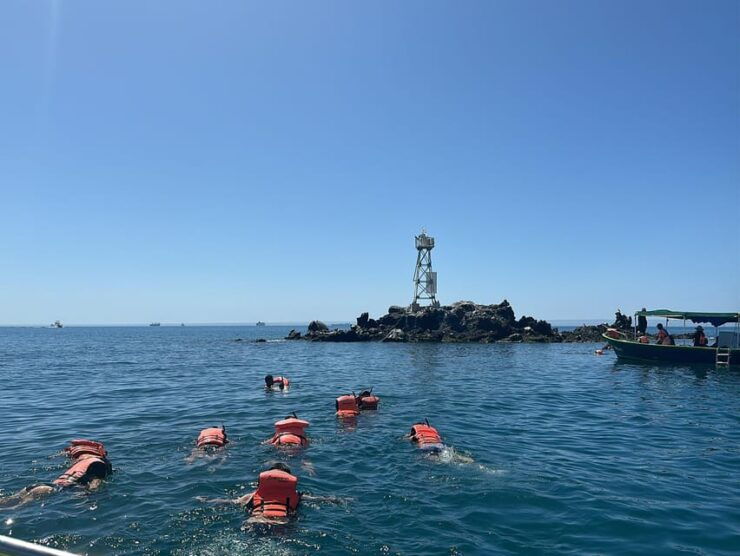 Cruise Date Delight! La Paz: Swim With Sea Lions! - Itinerary Highlights