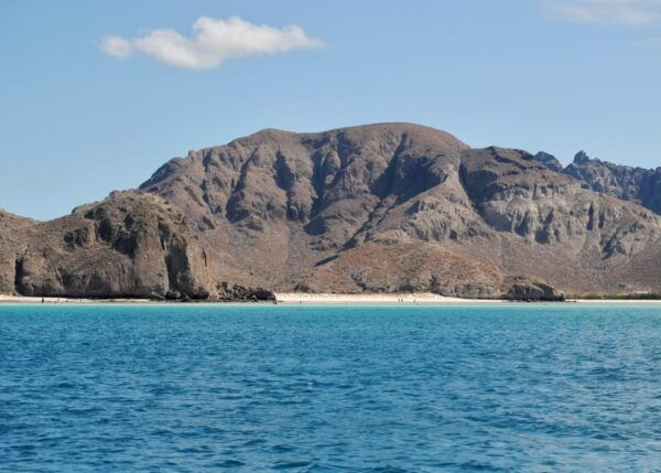 Cruise Date Delight! La Paz: Swim With Sea Lions! - Weather Conditions
