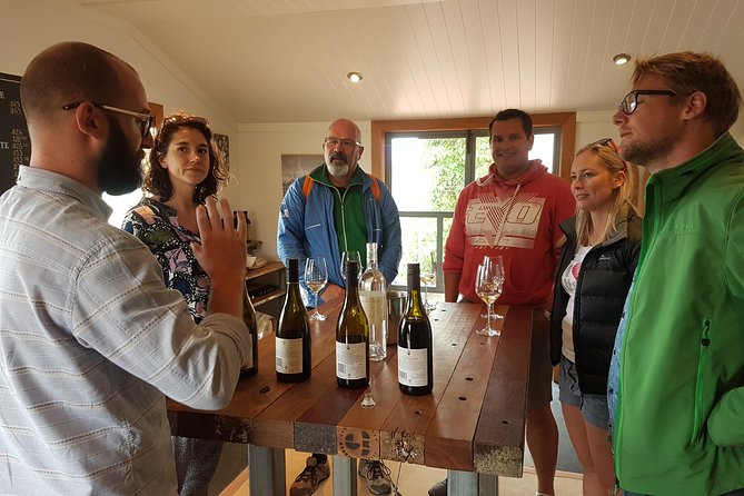 Cruise Excursion - Wines of Marlborough Tour - Tour Highlights and Activities