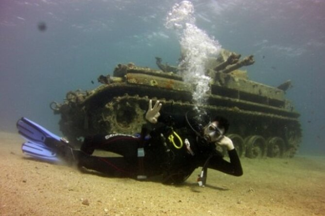 Cruise Experience Half-Day From Aqaba - Good To Know