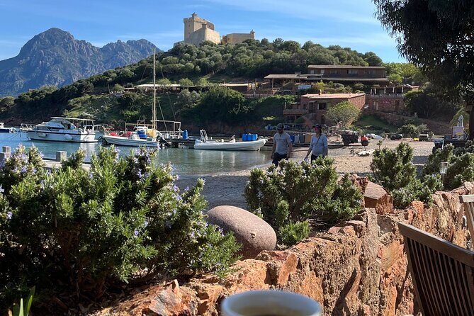 Cruise in a small group in Scandola Girolata Calanques de Piana - Frequently Asked Questions