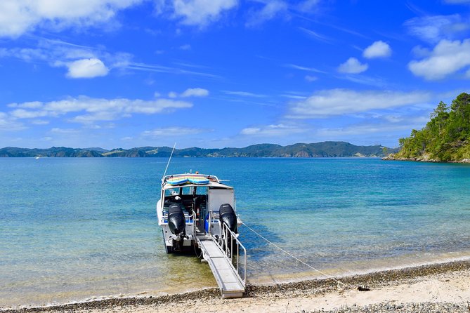 Cruise & Island Tour - Cruise/Hike/Snorkel/Wildlife/Paddleboard - Cancellation Policy