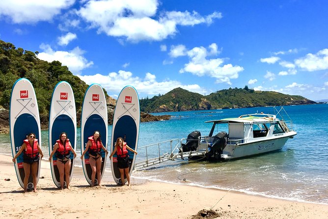Cruise & Island Tour - Cruise/Hike/Snorkel/Wildlife/Paddleboard - Reviews and Feedback