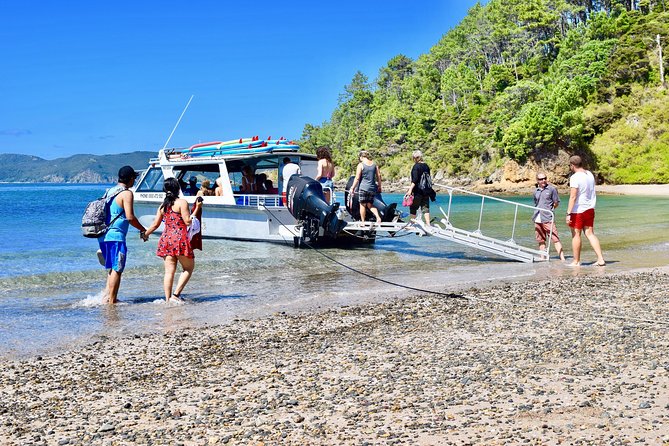 Cruise & Island Tour - Cruise/Hike/Snorkel/Wildlife/Paddleboard - The Sum Up