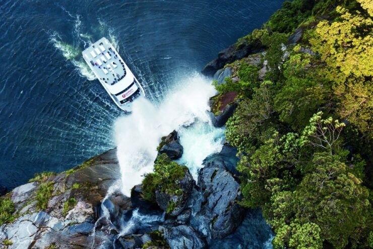 Cruise & Kayak Milford Sound - Free Cancellation and Flexible Reservations