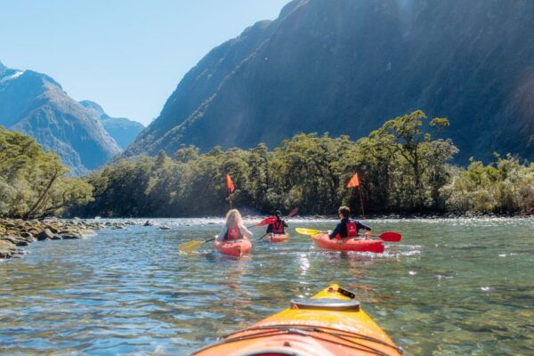 Cruise & Kayak Milford Sound - Convenient Reserve Now & Pay Later Option