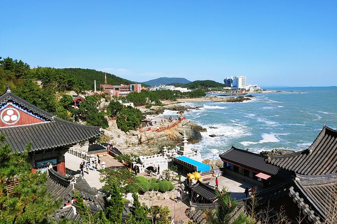 Cruise Layover : Small Group Busan Essential Tour - Tour Overview