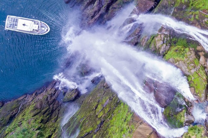 Cruise Milford NZ Small Boutique Cruise Experience - Lowest Price Guarantee
