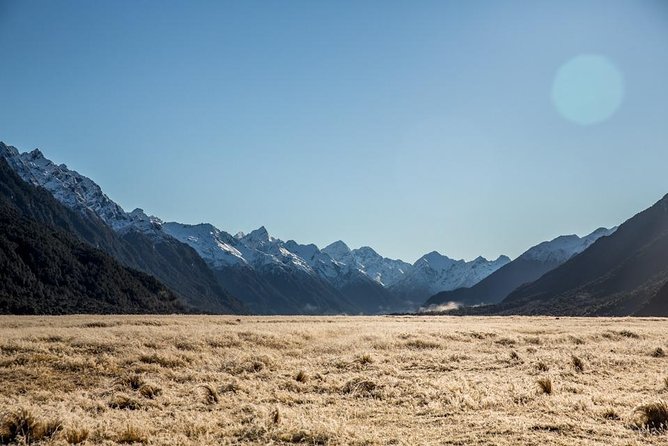 Cruise Milford Small Group Day Tour From Queenstown - Cancellation Policy