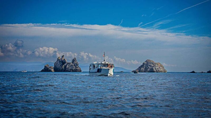 Cruise of the 2 Islands: Porquerolles & Port-Cros with stops - Good To Know