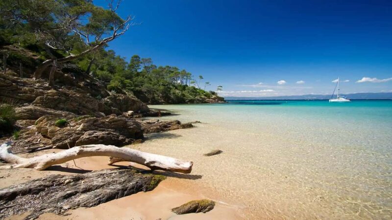 Cruise of the 2 Islands: Porquerolles & Port-Cros with stops - An In-Depth Look at the Tour