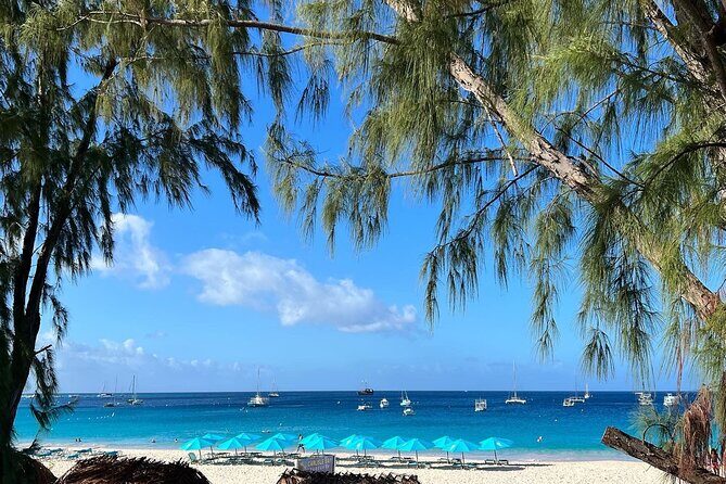Cruise Passanger Beach day in Barbados with shuttle transfers - Final Thoughts