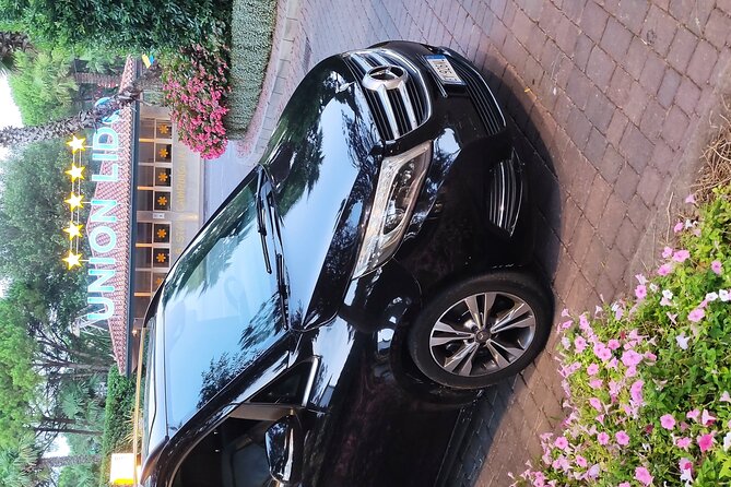 Cruise Port Trieste or Ravenna From Venice-Mestre Area - Transportation Options Available