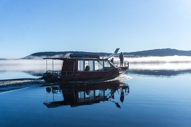Cruise & Rainforest Walk - Franz Josef Glacier - Additional Information and Cancellation Policy