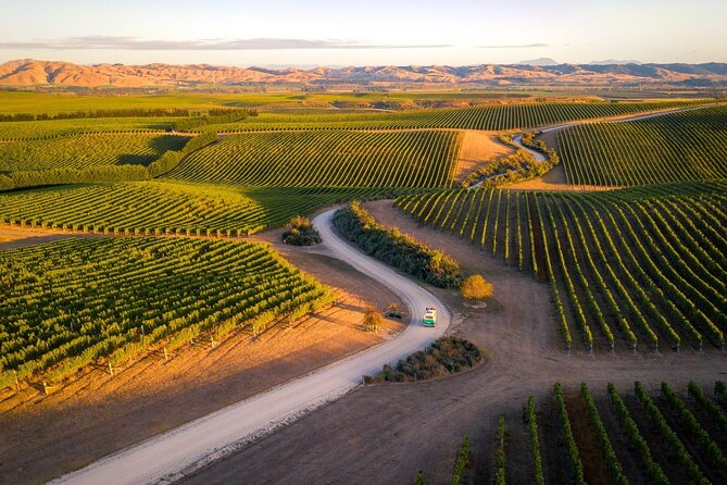 CRUISE SHIP DAY Hop on Hop off Yealands & Marlborough Tour - Alcoholic Beverages