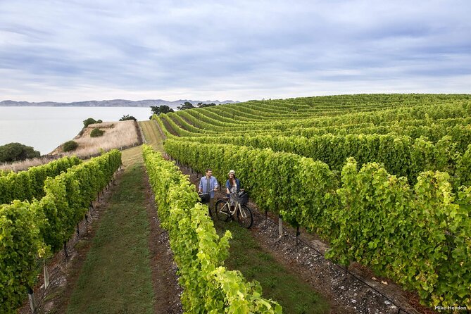 Cruise Ship Day - Marlborough - Amazing Wineries