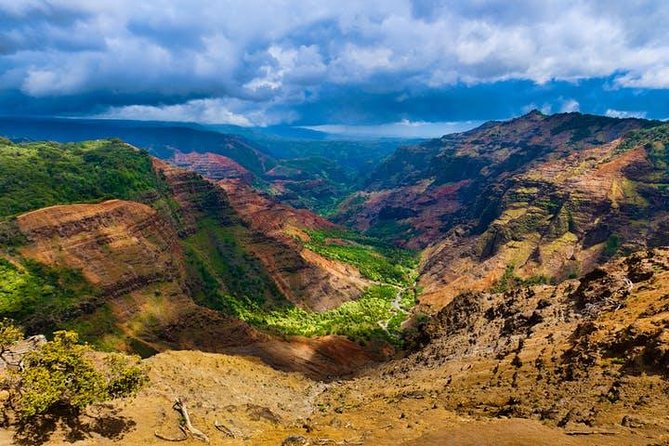 Cruise Ship Excursion: Kauai – Wailua River Cruise & Fern Grotto - Overall Tour Experience and Recommendation