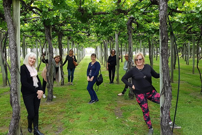 Cruise Ship Half-Day Marlborough Wine Region Tour From Picton - Meeting and Pickup
