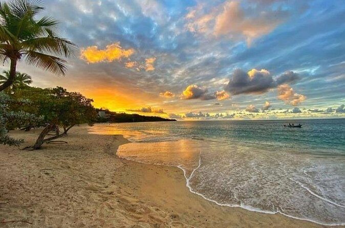 Cruise Ship Round Transfer to Grand Anse Beach in Grenada - Why We Love the Guides