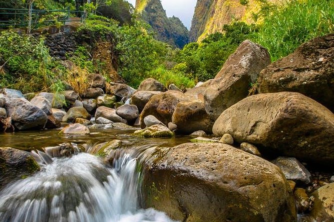 Cruise Ship Shore Excursion: Kahului Heavenly Hana Tour - Tour Guide Experience on the Hana Highway