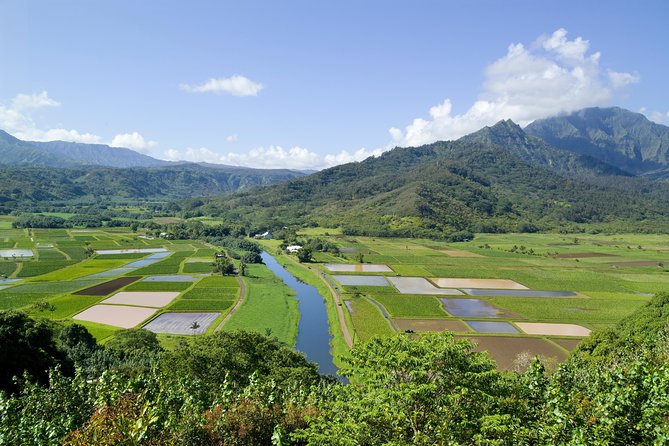 Cruise Ship Shore Excursion: Kauai Movie Sites Tour - Delicious Lunch at Local Restaurant
