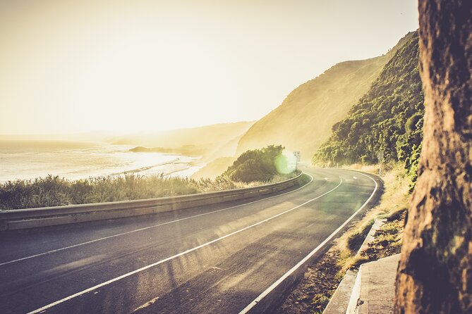 Cruise Ship Shore Excursion - Private Great Ocean Road Express Tour (9 Hour) - Common Questions
