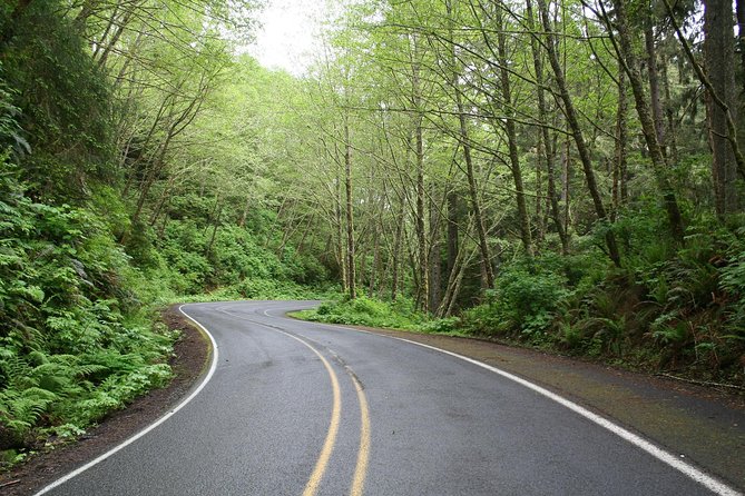 Cruise Ship Shore Excursion - Private Great Ocean Road Full Day Tour (12 Hour) - Important Information