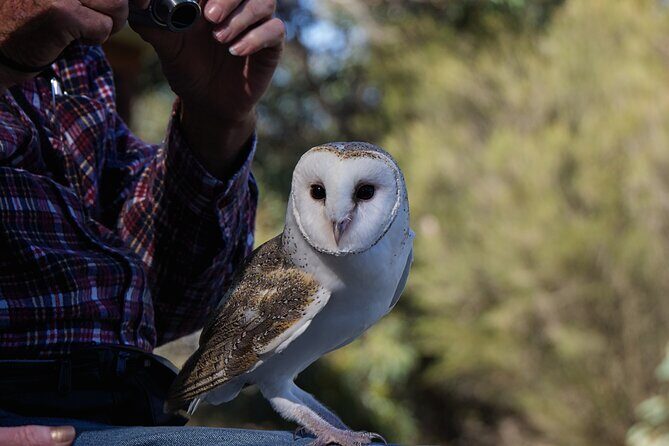 CRUISE SHIP Wildlife Tour - FAQ