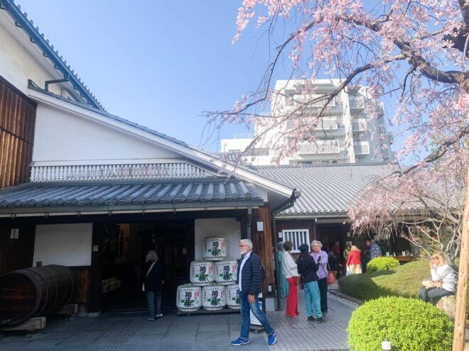 Cruise Shore Excursion: Kobe Sake Tasting With Local Guide - Experience and Cultural Insights
