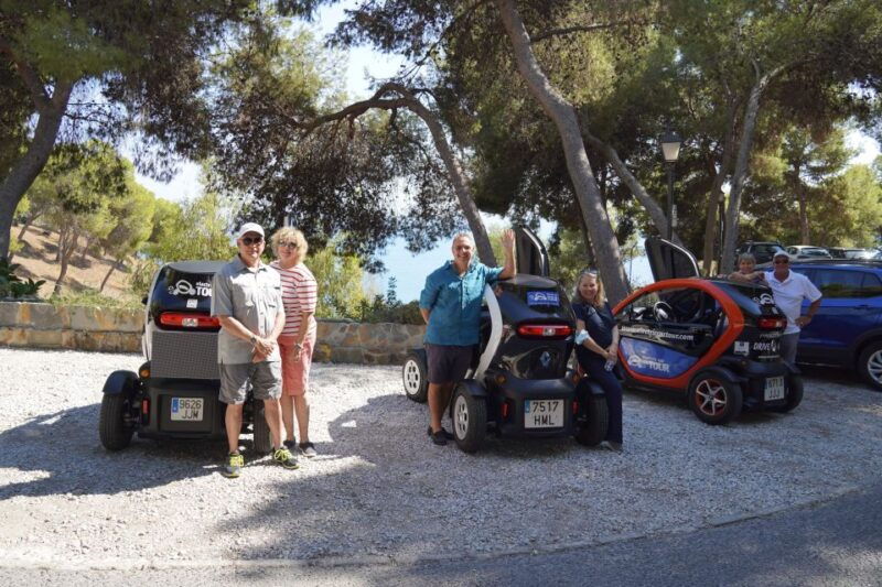 Cruise Terminal Pickup: Málaga in 2 Hours by Electric Car - Good To Know