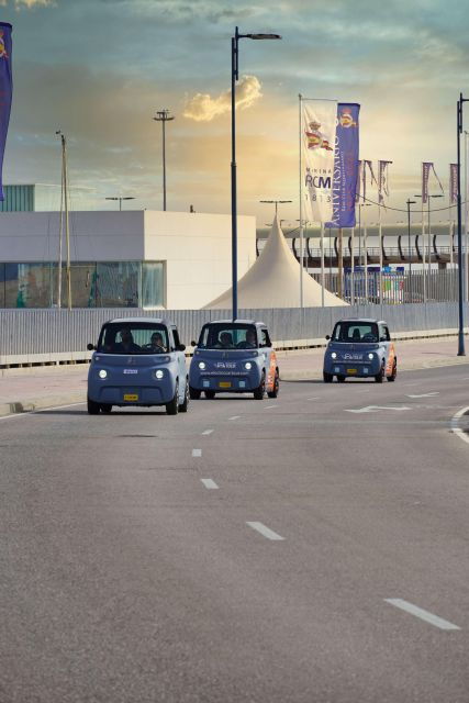 Cruise Terminal Pickup: Málaga in 2 Hours by Electric Car - Convenient Pickup and Flexible Booking