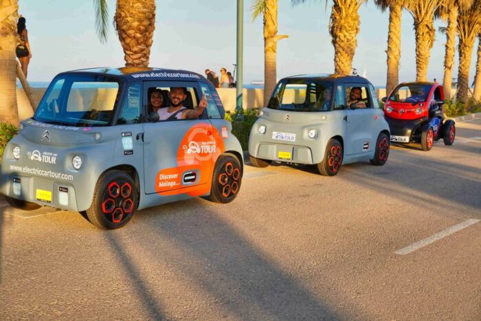 Cruise Terminal Pickup: Málaga in 2 Hours by Electric Car - Positive Customer Feedback
