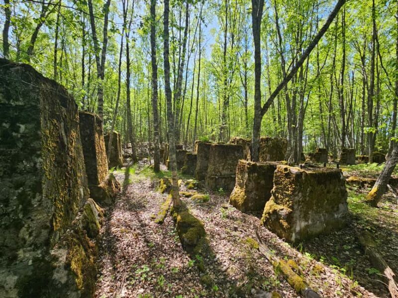 Cruise to Old Kemi with Guided Walking Tour - Good To Know