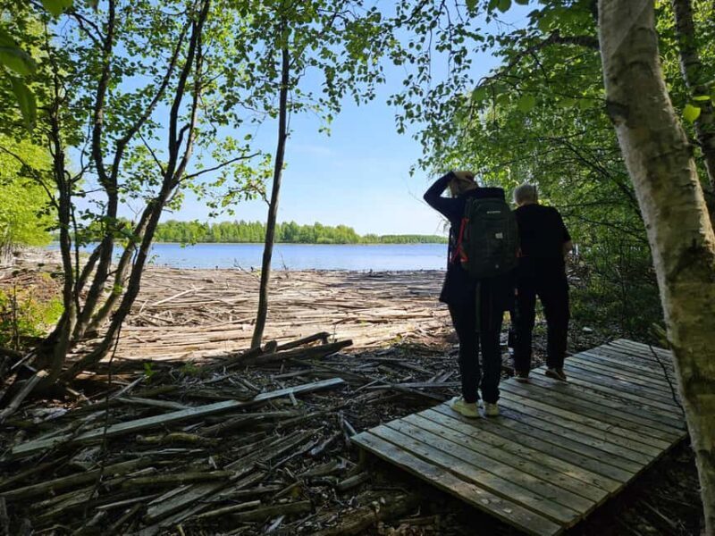 Cruise to Old Kemi with Guided Walking Tour - The Sum Up: Who Will Love This Tour?