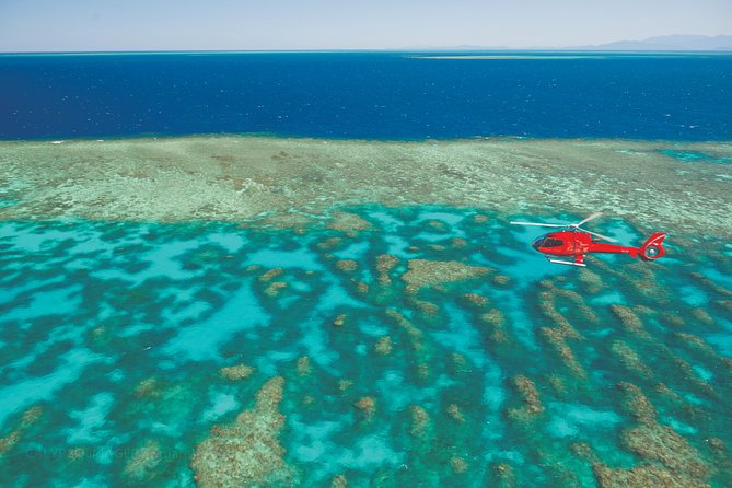 Cruise to Outer Reef - Cruise Return Plus 10 Minute Scenic Flight - What to Expect