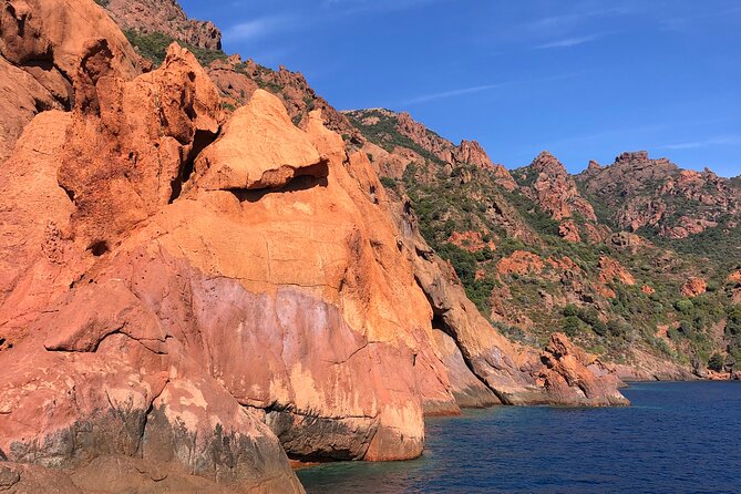 Cruise to Scandola Calanques De Piana 12-Seater Boat - Frequently Asked Questions