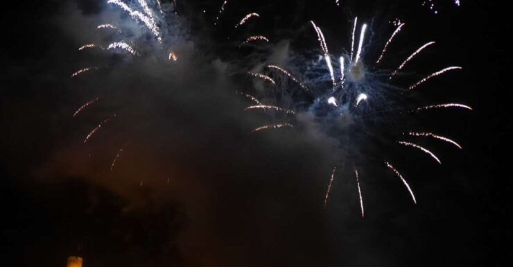 Cruise to the Fireworks of Winninger Vinefestival - Highlights of the Fireworks Cruise