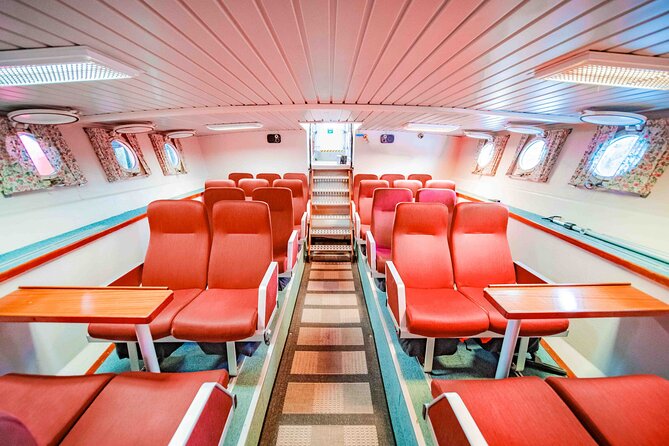 Cruise to the Fishing Village Øksfjord Including Lunch - Safety and Accessibility