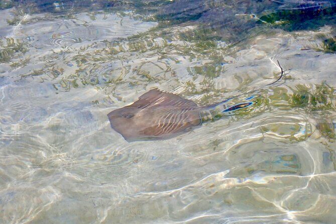 Cruise to the Grand Ass DE Sac in an open air aquarium - FAQ