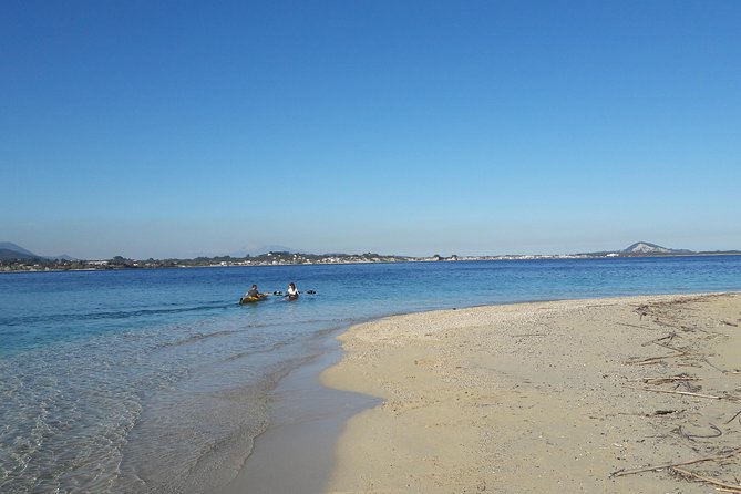 Cruise to Turtles Island and Caves With a Glass Bottom Boat - Positive Reviews