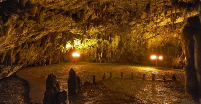Cruise Travellers Shore Excursion - Island Tour - Inclusions