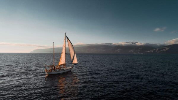 Cruise Trips - Contact and Support